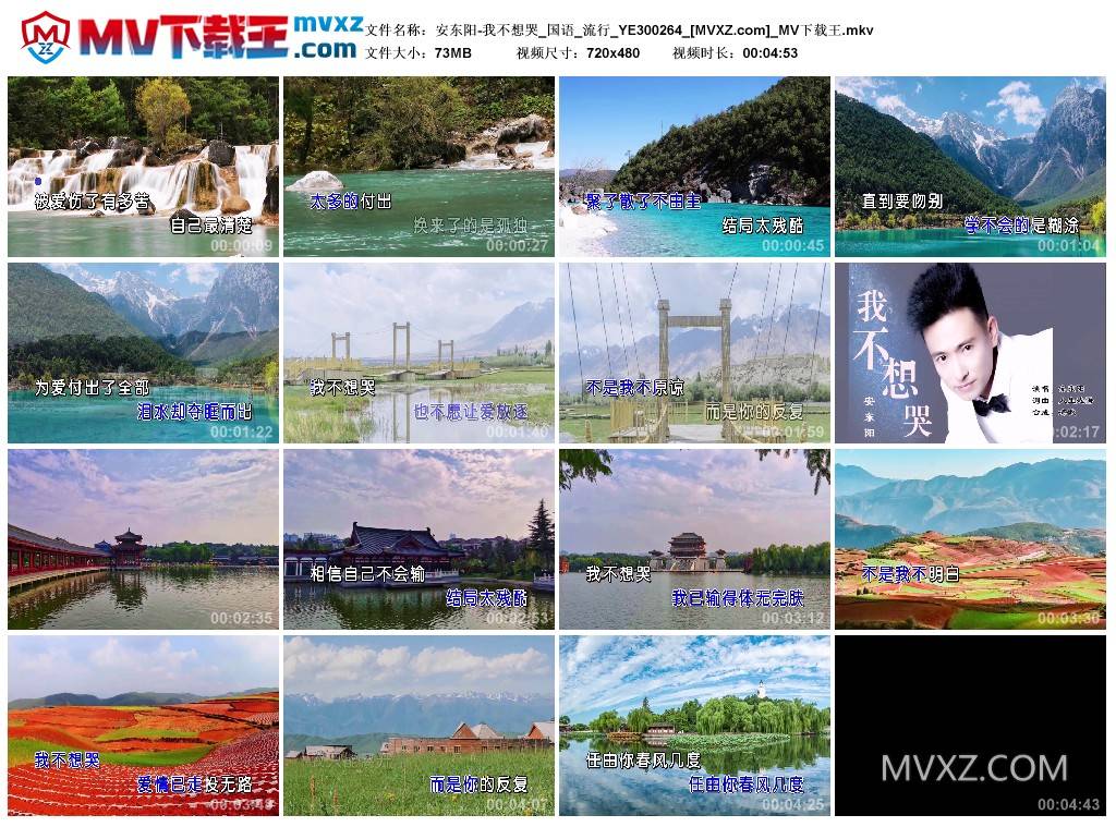 安东阳-我不想哭_国语_流行_YE300264